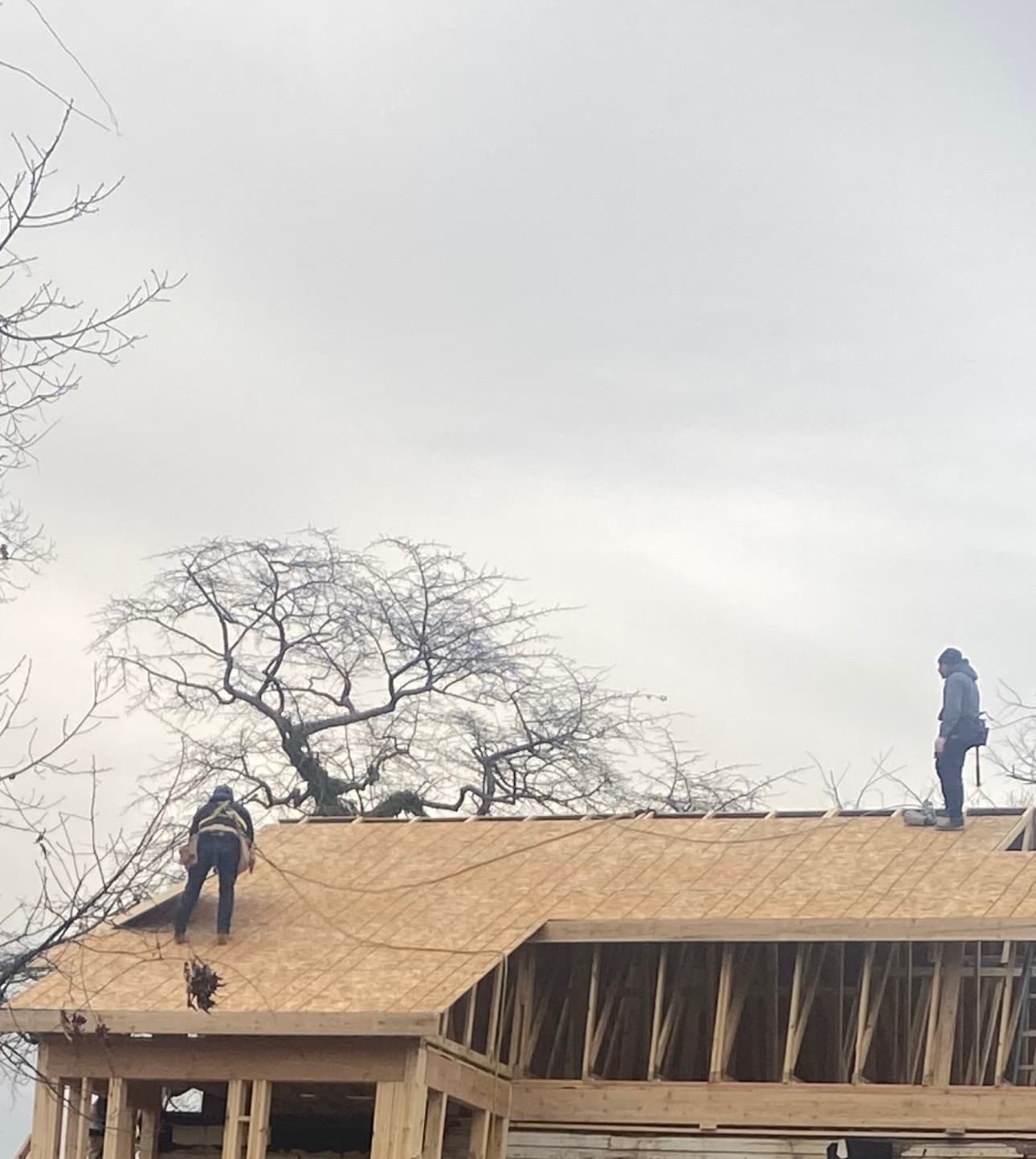 Roof deck plywood sheathing installation for residential roofing in Maryland by Atlantic Construction
